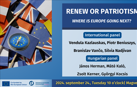 Renew or patriotism - where is Europe going next? - Summary